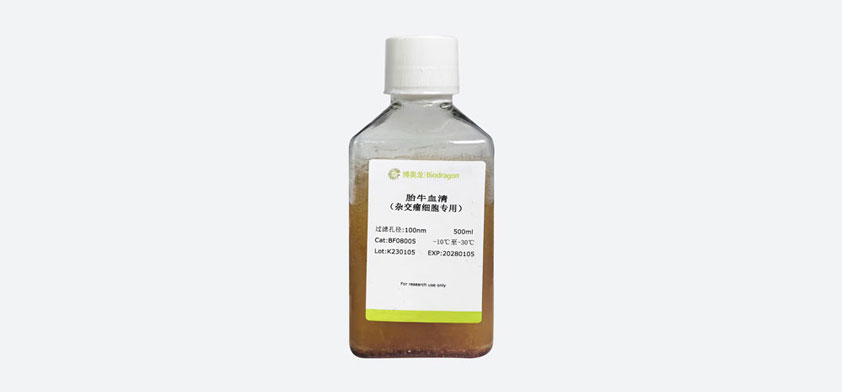胎牛血清